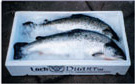 Loch Duart Salmon trade retail
