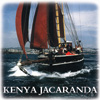 Kenya Jacaranda